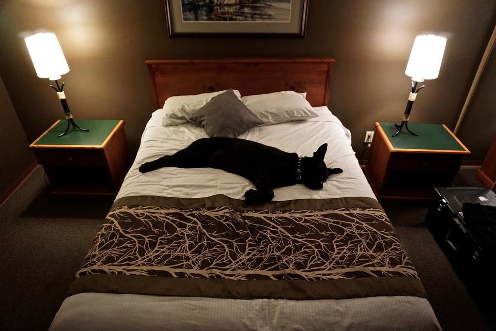 The Bamfield Motel Salmon Beach Exteriör bild